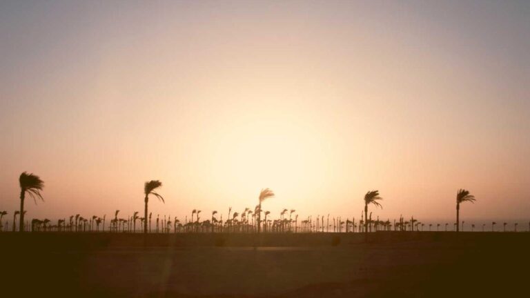 How Can I Access My 11Xplay Online Id Login Page?